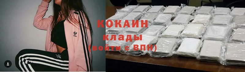 где купить   Малая Вишера  Cocaine 99% 